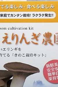 もりのエリンギ農園