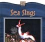Sea Slugs (Weird Wonders of the Deep)