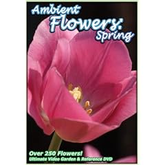 Ambient Flowers: Spring - The Ultimate Video Garden & Reference DVD by Gardening DVDs