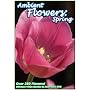 Ambient Flowers: Spring - The Ultimate Video Garden & Reference DVD