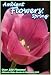 Search : Ambient Flowers: Spring - The Ultimate Video Garden & Reference DVD