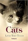 Stories About Cats and the Lives They Touch