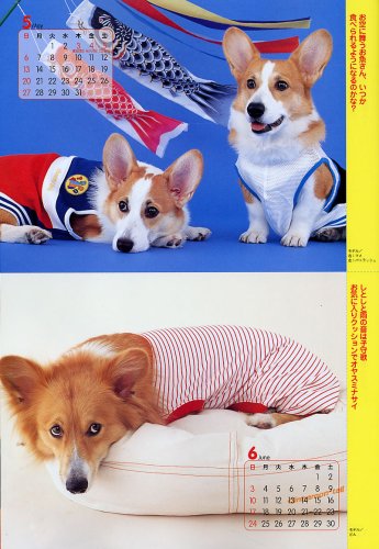 Cover image : コーギースタイル Vol.16 (タツミムック)