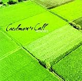 Caedmon's Call -  40 Acres