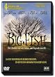 Big Fish