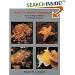 Guide to Marine Invertebrates: Alaska to Baja California