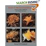 Guide to Marine Invertebrates: Alaska to Baja California