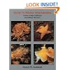 Guide to Marine Invertebrates: Alaska to Baja California, 2nd edition (revised)