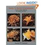 Guide to Marine Invertebrates: Alaska to Baja California, 2nd edition (revised)