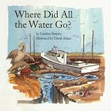 Where Did All the Water Go