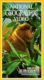 National Geographic's Creatures of the Mangrove [VHS]