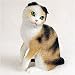 scottish fold - Scottish Fold, Tort/White Original Cat Figurine (4in-5in)