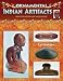Ornamental Indian Artifacts: Identification And Value Guide