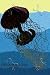 Canvas Print, Jellyfish: Discomedusae #1 - 12 x 18