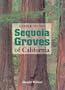 A Guide to the Sequoia Groves of California
