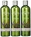 Nature's Gate Organics Shampoo, Lavender & Aloe, 12 Ounce (Pack of 3)