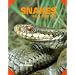 Caring for your snake: An Owner's List