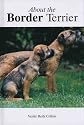 About the Border Terrier
