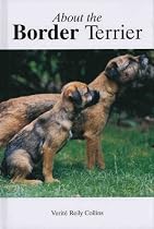 About the Border Terrier