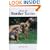 About the Border Terrier