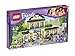 LEGO Friends Heartlake High 41005