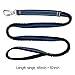 ITERY Dog Leash, Reflective Training Bungee Leash Elastic Dog Pet Lead Leash with Control Handle (Blue)