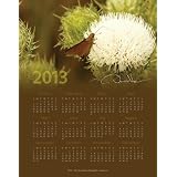 Donald Verger 2013 Year At-a-Glance 11x14 Poster Calendar Moth Resting on a Bloom (Moth)