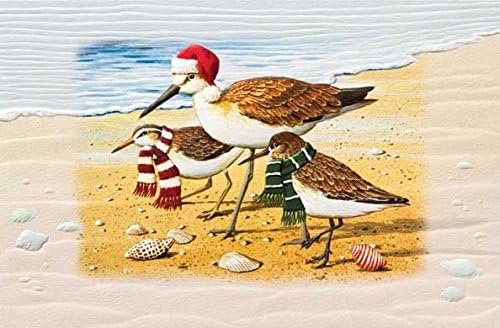 Pack of 16 "Blustery Birds" Beach with Shells Fine Art Embossed Deluxe Christmas Greeting Cards