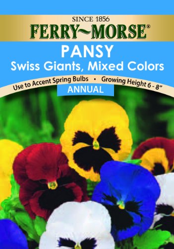 Ferry-Morse Annual Flower Seeds 1105 Pansy - Swiss Mix 200 Milligram Packet