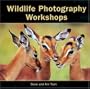 Wildlife Photography Workshops