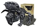 Magnext Magna Bones Triceratop in Crate