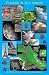 Fractals in Our World Poster