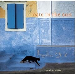 Cats in the Sun