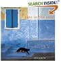 Cats In The Sun