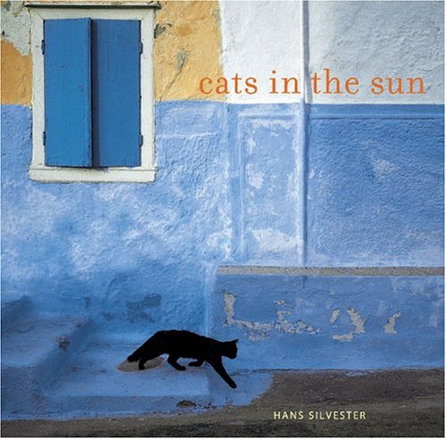 Cover image : Cats in the Sun