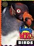 Extremely Weird Birds (Extremely Weird)