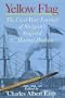 Yellow Flag: The Civil War Journal of Surgeon's Steward C. Marion Dodson