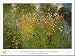 Garden is a Sea of Flowers by Ross Sterling Turner Fine Art Print / Poster 31.50 x 23.75 in.