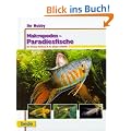 Makropoden-Paradiesfische, Ihr Hobby