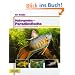 Makropoden-Paradiesfische, Ihr Hobby