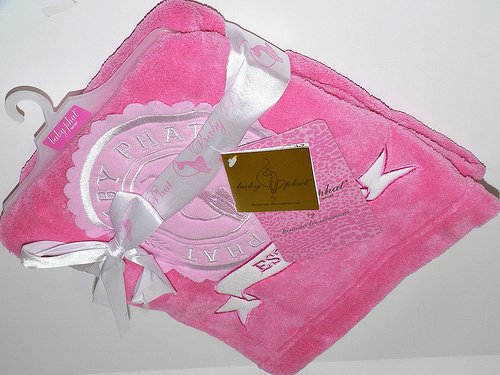 51FS8HUqzVL Baby Phat Plush Coral Fleece Blanket, Pink/White