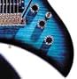 Dangerous Curves: The Art of the Guitar