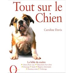 Tout sur le Chien