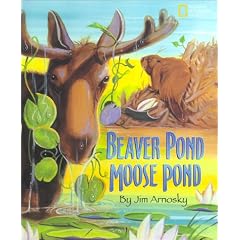Beaver Pond / Moose Pond