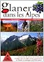 Glaner dans les Alpes