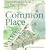 Common Place: Toward Neighborhood and Regional Design (A Samuel and Althea Stroum Book)