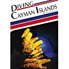 Diving Cayman Islands by Jesse Cancelmo