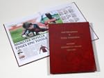 Memorable Moments: Heineken Cup Winne...