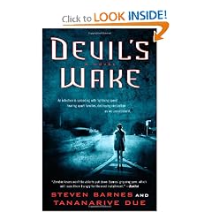 Devil's Wake: A Novel by Steven Barnes and Tananarive Due