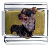 Chihuahua Black Animal Photo Italian Charms Bracelet Link